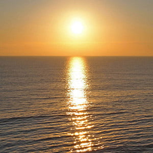 Sunrise-Alex-Murphy-fleet-news