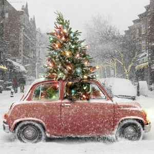 tree in car