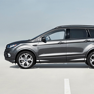 Grey Ford’s Number One Colour