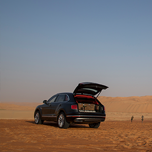 Bentley Bentayga Falconry by Mulliner