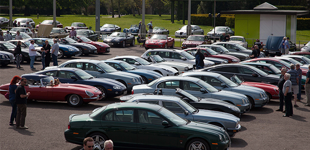 Big cats to prowl into Beaulieu for Simply Jaguar