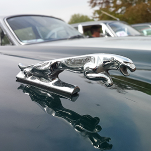 Jaguar Classic kicks off a summer of celebrations