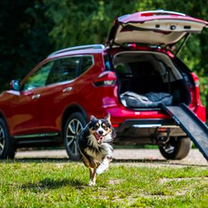 Nissan X-TRAIL - Paw Pack accessory kit