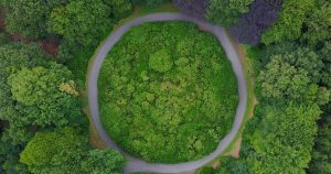 Circular path in a forest