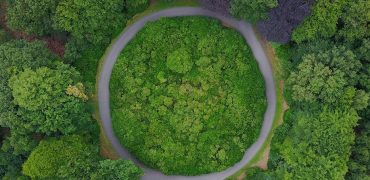 Circular path in a forest