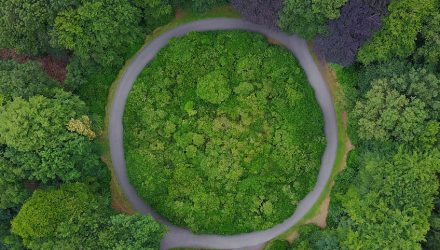 Circular path in a forest