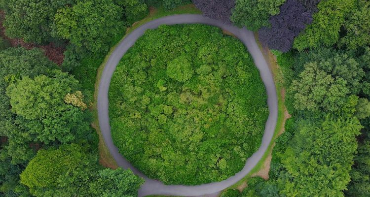 Circular path in a forest