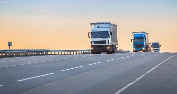 Sustainable Fleet Management