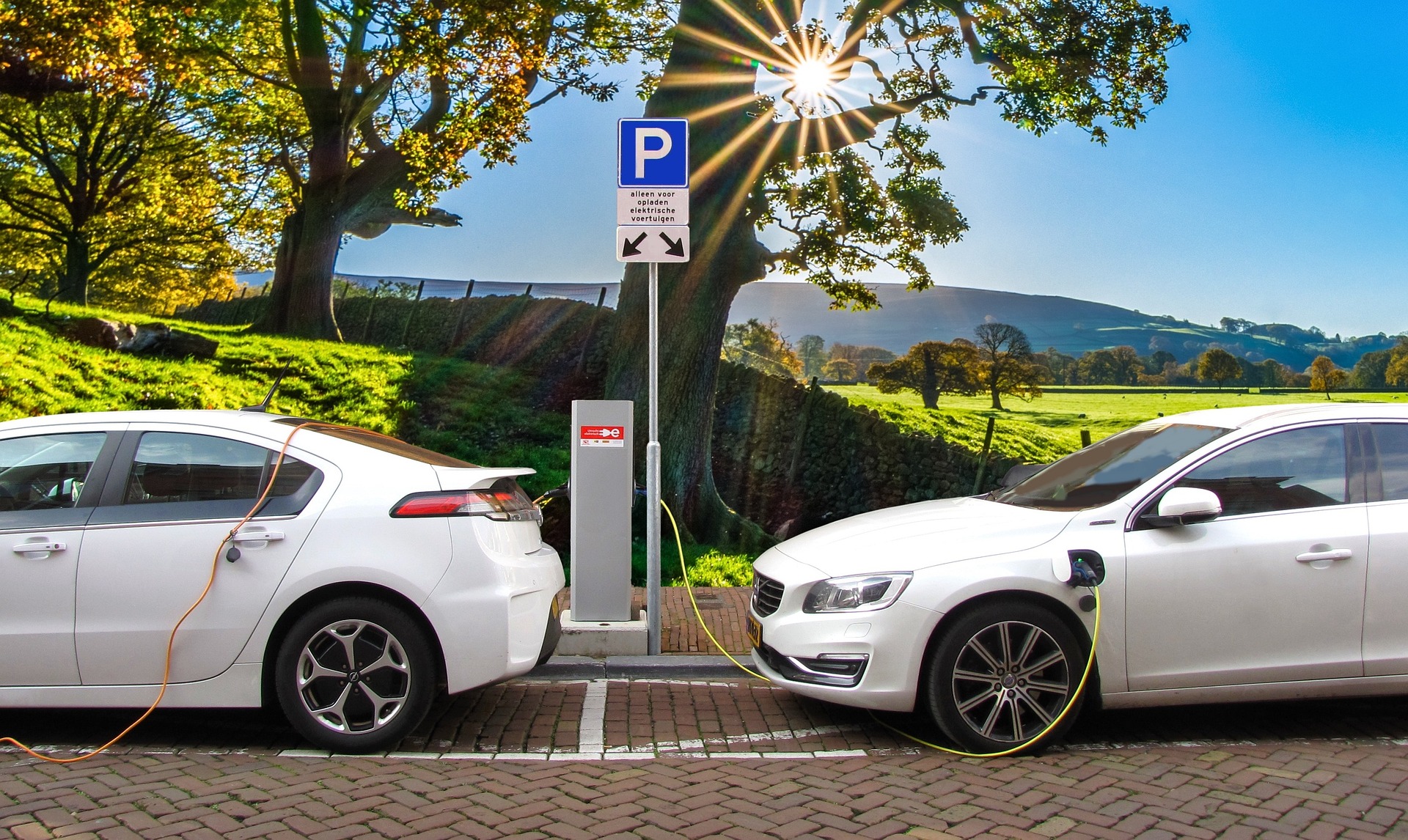 Two electric cars being charged