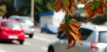Busy road