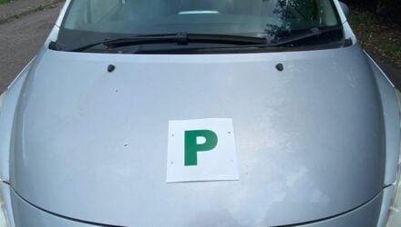 P Plates