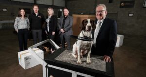Explosive Detection Dogs