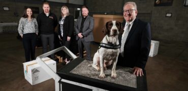Explosive Detection Dogs