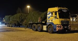 A MAN brings the Christmas tree for the Pope