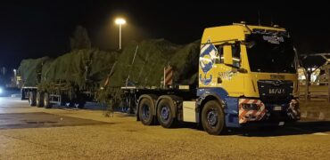A MAN brings the Christmas tree for the Pope