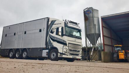 S & T Buckley Livestock is reaping the rewards of its new Volvo FH 540 8x2 rigid livestock transporter