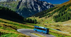 Bus design considerations around the world