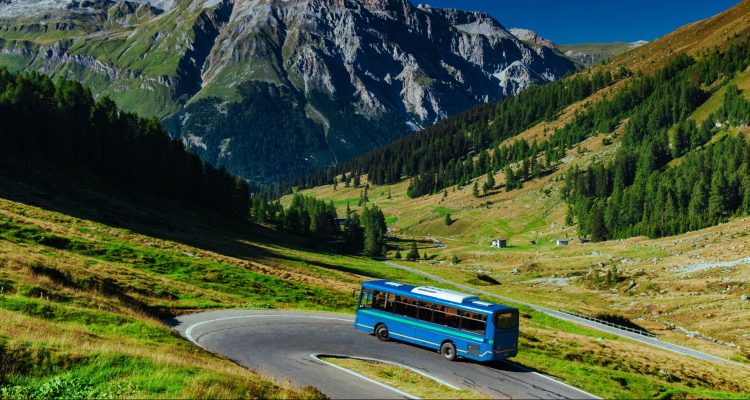 Bus design considerations around the world