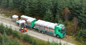 Maelor Forest Nurseries, part of Tilhill Forestry and a member of BSW Group, has introduced an industry-first national delivery model designed to protect young trees from nursery to planting site