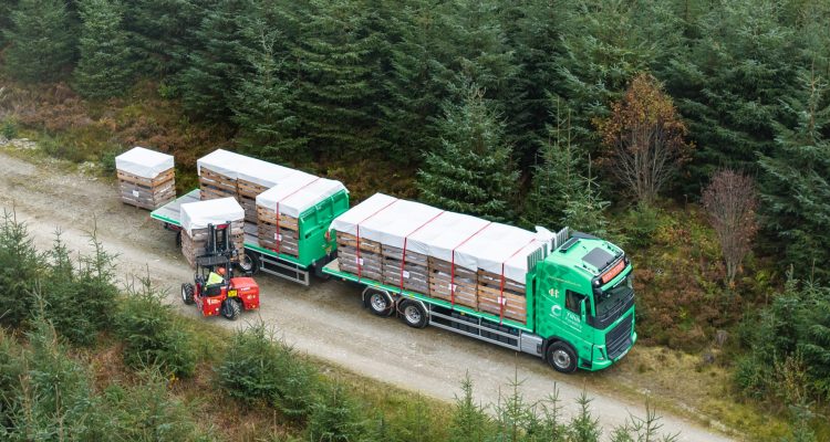 Maelor Forest Nurseries, part of Tilhill Forestry and a member of BSW Group, has introduced an industry-first national delivery model designed to protect young trees from nursery to planting site