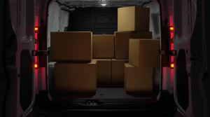 cargospace-farizon-sv