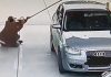AFP raises concerns over Forecourt Eye fuel debt recovery notices